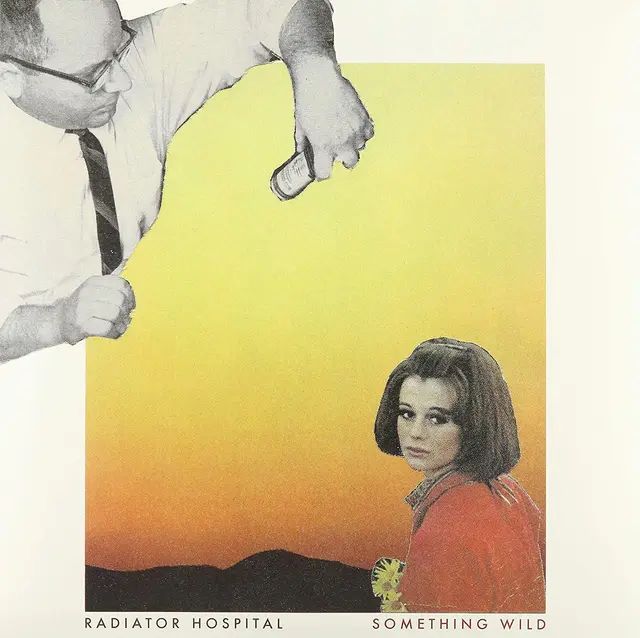 Radiator Hospital Something Wild (LP) 