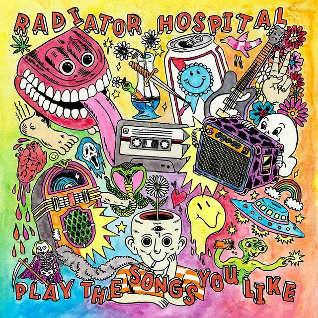 Radiator Hospital Play The Songs You Like (LP) 