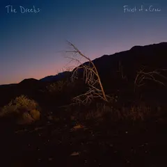 The Dreebs Forest Of A Crew (LP)