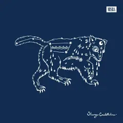 William Matheny Strange Constellations (LP)