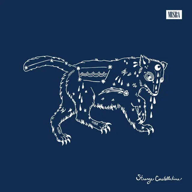 William Matheny Strange Constellations (LP) 