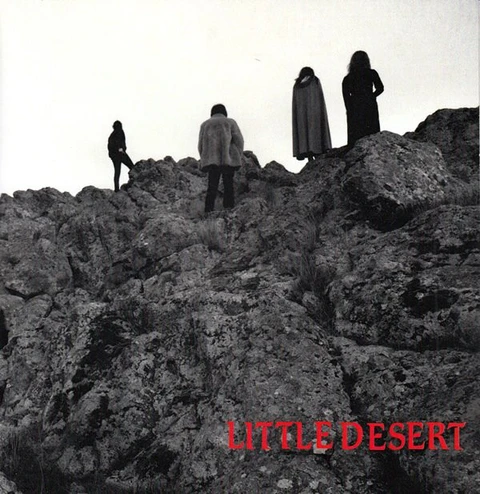 Little Desert Ashes (7") 