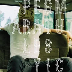 Pearly Gate Music Pearly Gate Music (LP)
