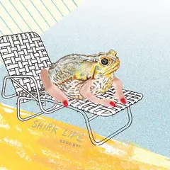 Good Boy Shirk Life/Plum Double EP (LP)