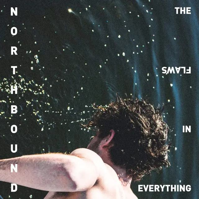 Northbound The Flaws In Everything (LP) 