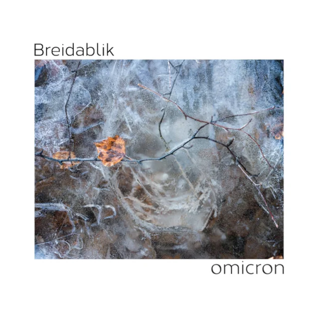 Breidablik Omicron (LP) 