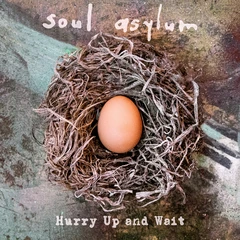 Soul Asylum Hurry Up And Wait (2LP)
