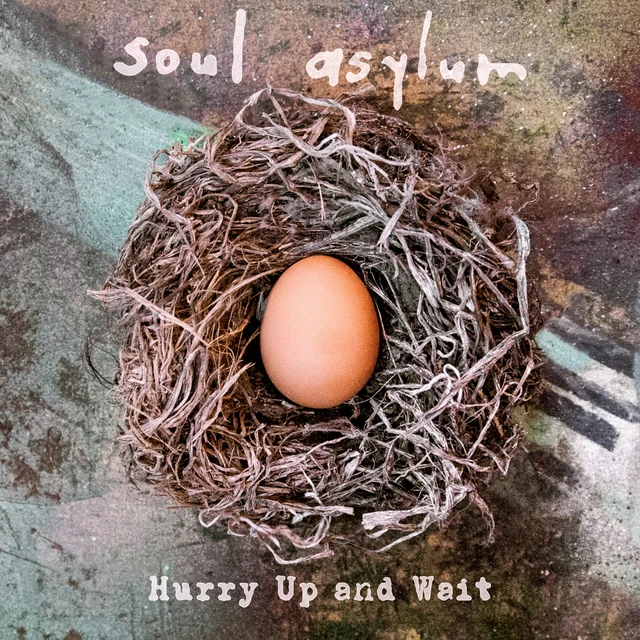 Soul Asylum Hurry Up And Wait (2LP) 