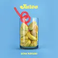 Born Ruffians Juice - LTD (LP)