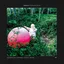 Waldemar 4 The Buoy and the Sea (LP)