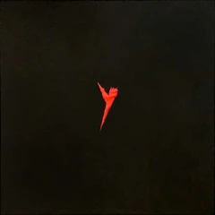 The Pop Group Y - Live (LP)