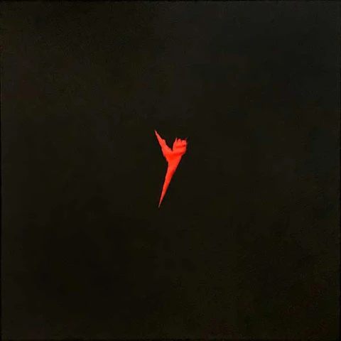 The Pop Group Y - Live (LP) 