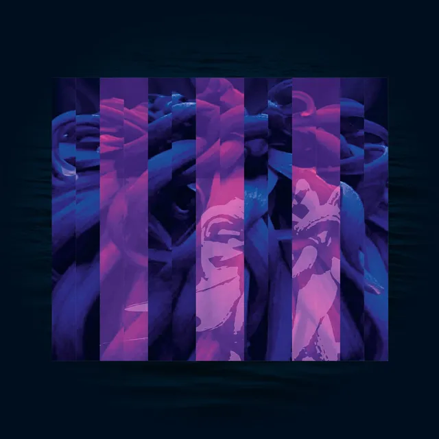 Electric Sewer Age Contemplating Nothingness (LP) 
