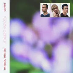 Braids Shadow Offering - LTD (LP)