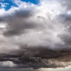 Moby All Visible Objects (2LP)