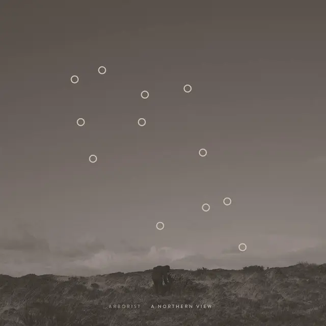 Arborist A Northern View (LP) 