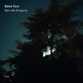Oded Tzur Here Be Dragons (LP)