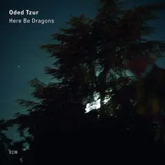 Oded Tzur Here Be Dragons (LP)