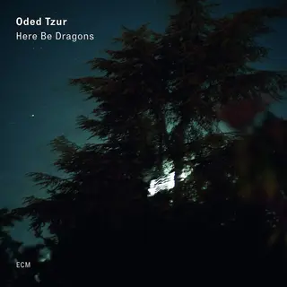 Oded Tzur Here Be Dragons (LP)