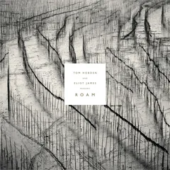 Tom Hobden And Eliot James Present: Roam (LP)