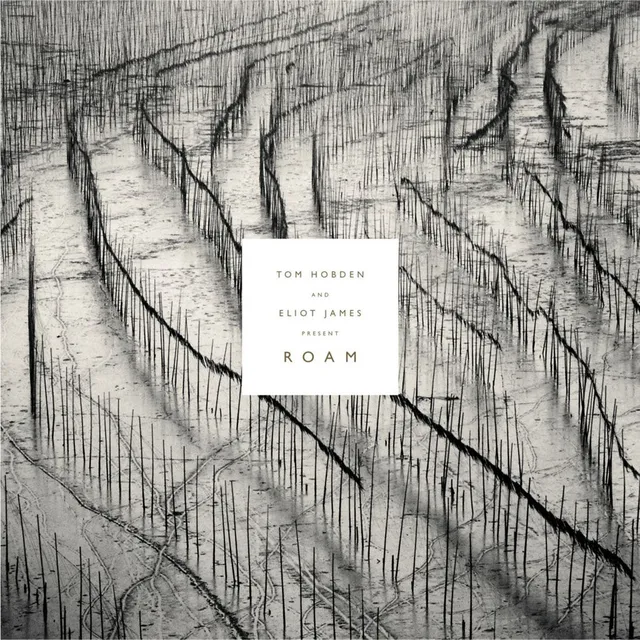 Tom Hobden And Eliot James Present: Roam (LP) 