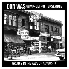 Don Was Groove In The Face Of Adversity (LP)