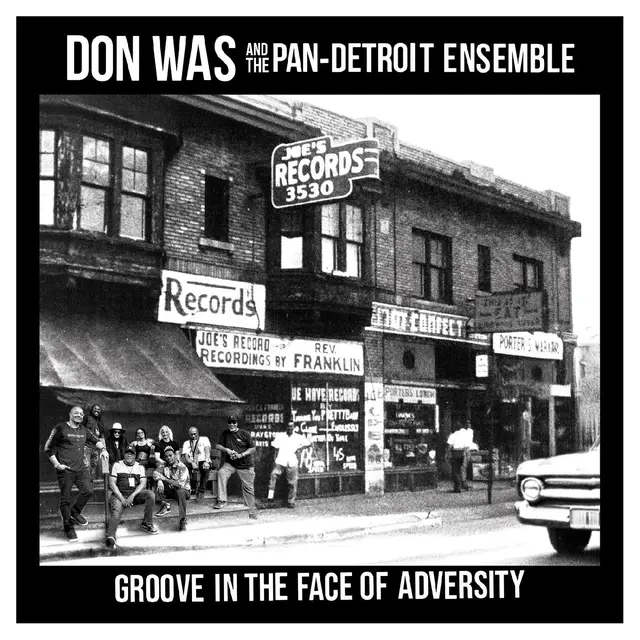 Don Was Groove In The Face Of Adversity (LP) 