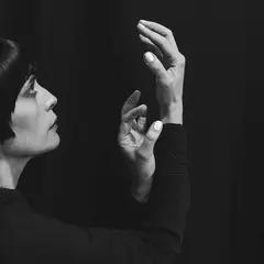 Angele David-Guillou Mouvements Organiques (LP)