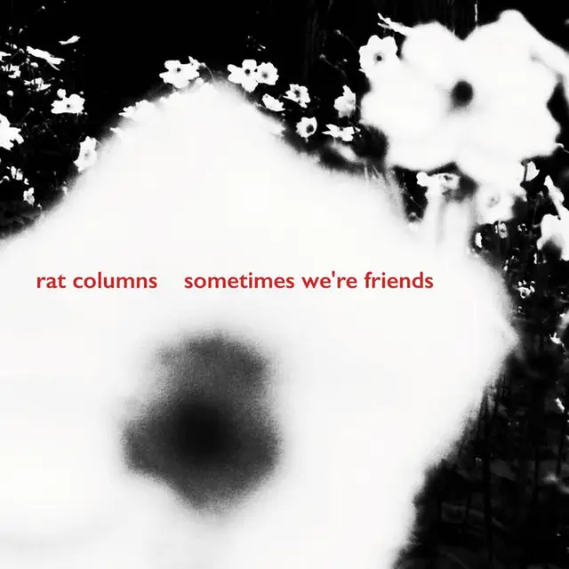 Rat Columns Sometimes We're Friends (7") 
