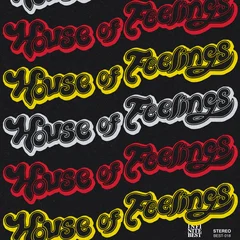 House Of Feelings Last Chance EP (LP)