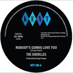 The Sherilles Nobody's Gonna Love You / Make It… (7")
