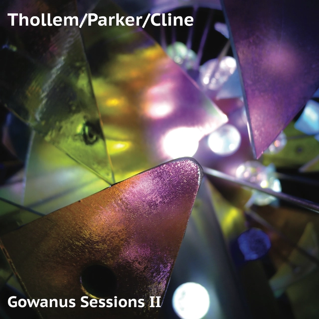 Thollem/Parker/Cline Gowanus Sessions II (LP) 
