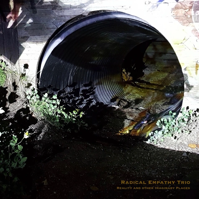 Radical Empathy Trio Reality And Other Imaginary Places (LP) 