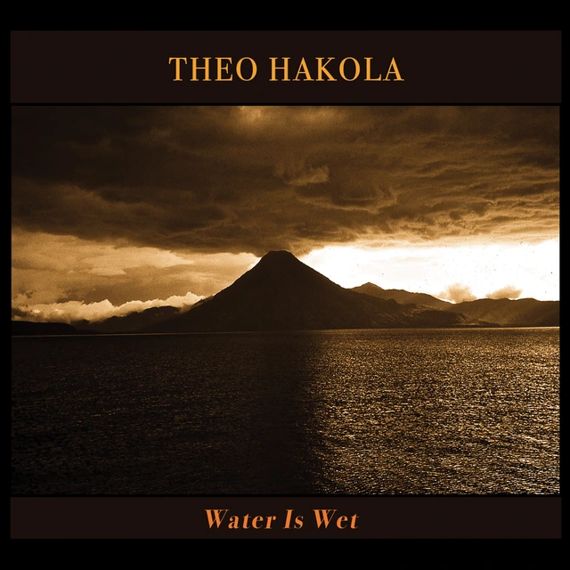 Theo Hakola Water Is Wet (LP) 