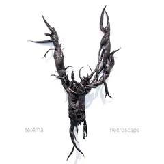 Tetema Necroscape (LP)