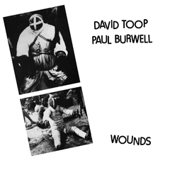 David Toop/Paul Burwell Wounds (LP)