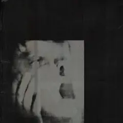 Ditz Never Exhale - LTD (LP)