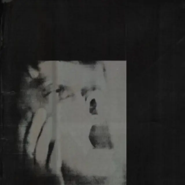 Ditz Never Exhale - LTD (LP) 
