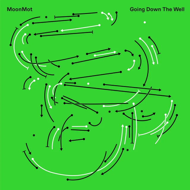 MoonMot Going Down The Well (LP) 