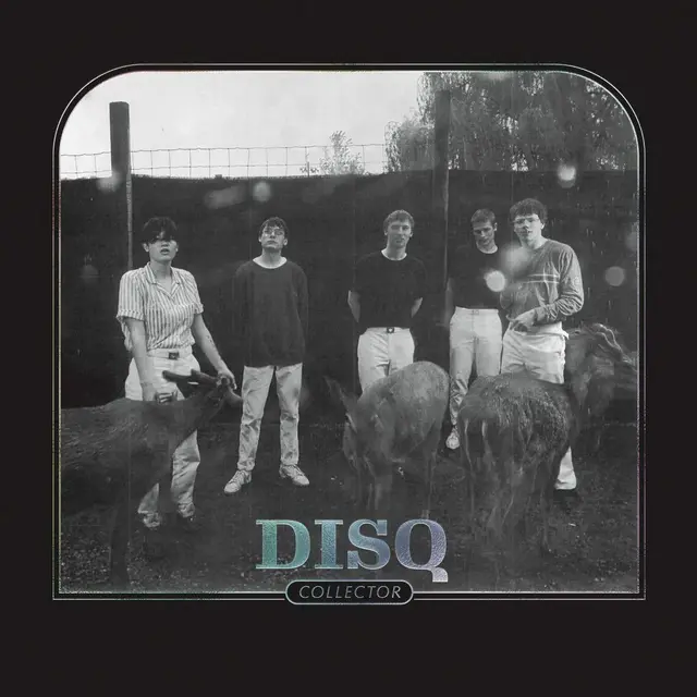 Disq Collector (LP) 