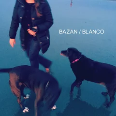 David Bazan Blanco (LP)