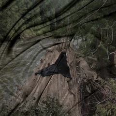 D33J Gravel Remixed (LP)