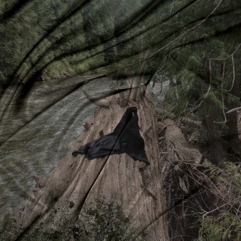 D33J Gravel Remixed (LP) 