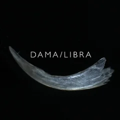 Dama/Libra Claw (LP)
