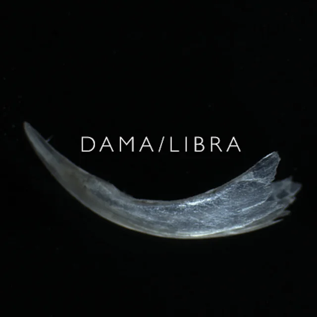 Dama/Libra Claw (LP) 