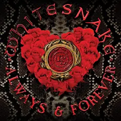Whitesnake Always &amp; Forever-LTD Picture Disc (12")