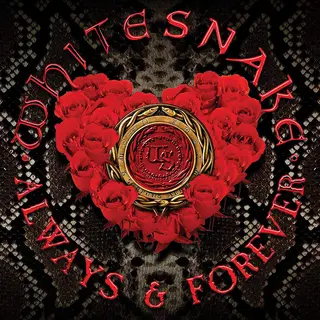 Whitesnake Always &amp; Forever-LTD Picture Disc (12")