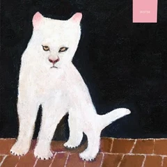 Duster Duster (LP)
