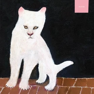 Duster Duster (LP) 