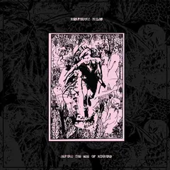 Raspberry Bulbs Before The Age Of Mirrors LP (LP)